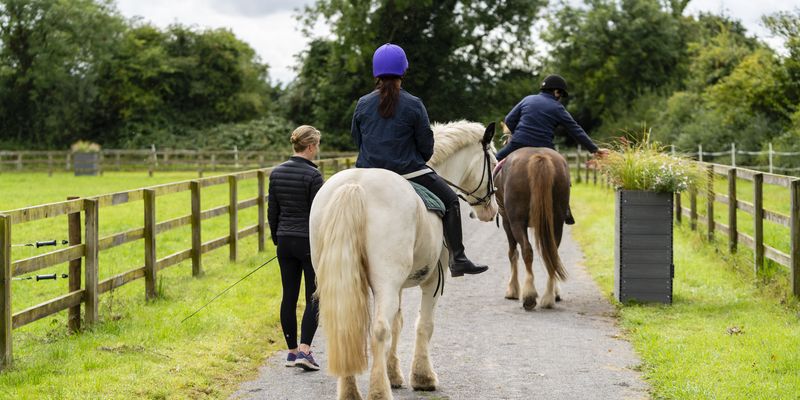 Equine Assisted Therapy
